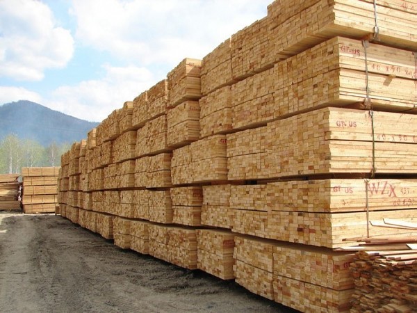 В августе 2023 г. средние цены на пиломатериалы в России сократились на 0,3%