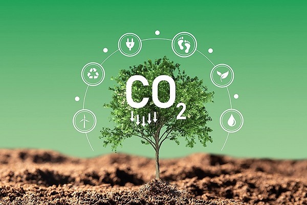 Минэкономразвития совершенствует правила реализации климатических проектов